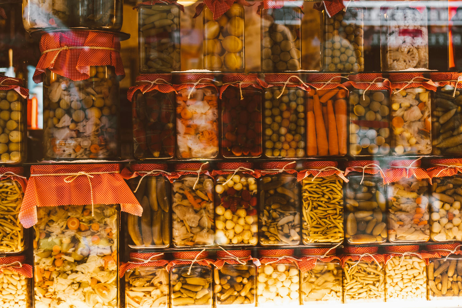Fermented Foods